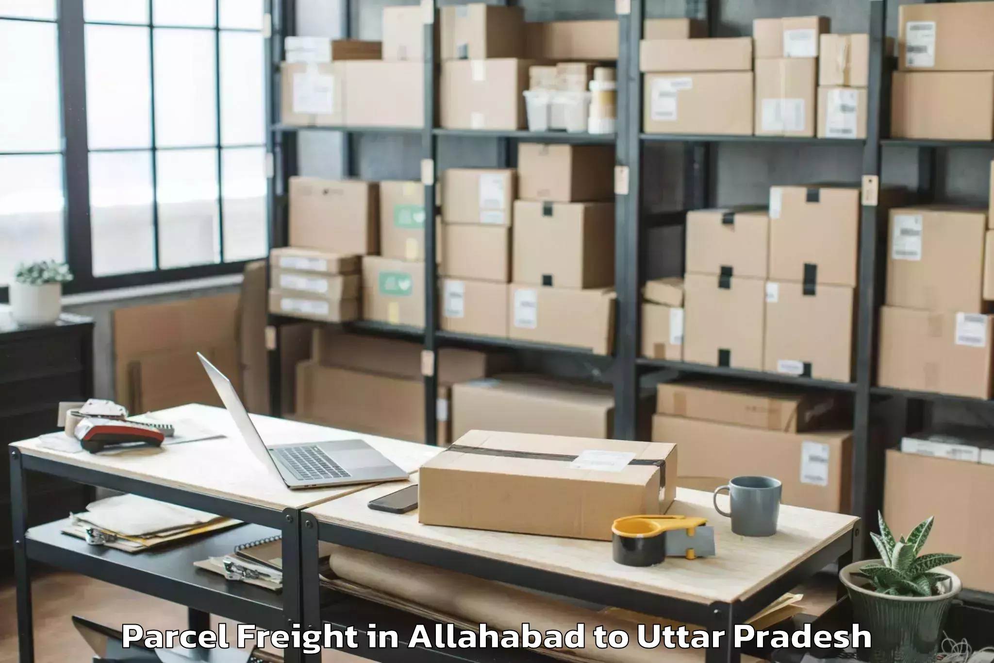 Trusted Allahabad to Bajna Parcel Freight